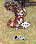 Storage Access