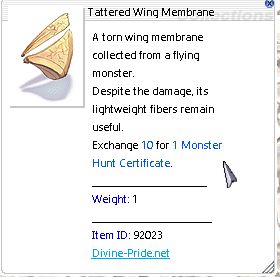 Tattered Wing Membrane