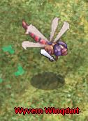 Wyvern Wingdart