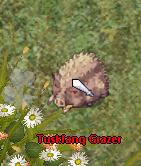 Tuskfang Grazer