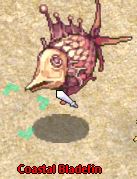 File:MH Coastal Bladefin Placeholder.jpg