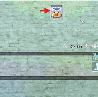 File:Cash s - Copy.jpg