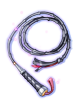 File:Poenitentia flagellum.png