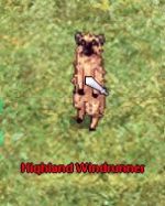 Highland Windrunner
