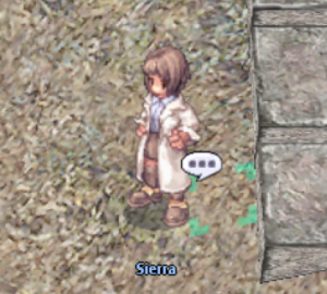 Image Placeholder: Sierra at the reservation location in Yuno