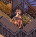 Thumbnail for version as of 11:35, 7 September 2026