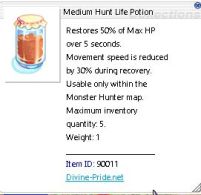 Medium Hunt Life Potion